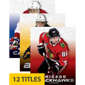 NHL Teams (Set of 12)
