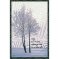 The African Diaspora in Canada: Negotiating Identity and Belonging