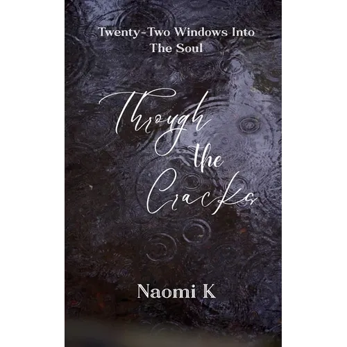 Through The Cracks Twenty-Two Windows Into The Soul