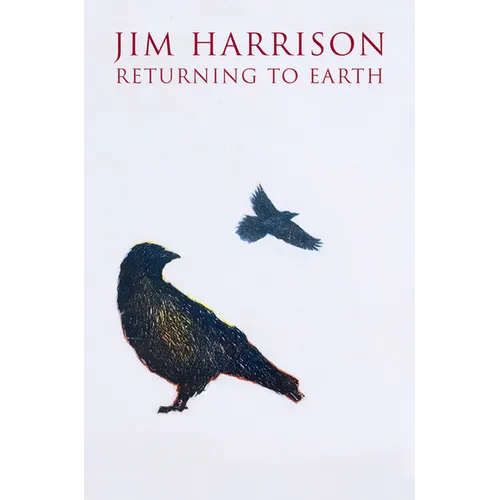 Returning to Earth