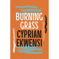 Burning Grass