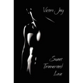 Sweet Tormented Love: A Novel of Romance