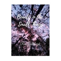 Beauty in the Small Things