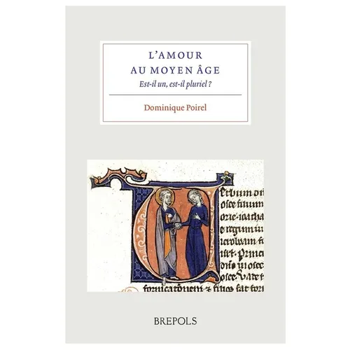 L'Amour Au Moyen Age: Est-Il Un, Est-Il Pluriel?