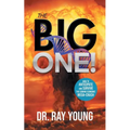 The Big One!: How to Anticipate and Survive the Coming Economic Mega-Crash
