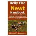 Belly Fire Newt Handbook: : Inclusive Guide on Belly Fire Newt Nurturing; Conduct, Health Issues, What They Eat, Lodging & Picking One as a Pet, Etc.