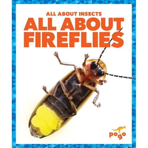 All about Fireflies