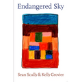 Sean Scully & Kelly Grovier: Endangered Sky