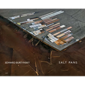 Edward Burtynsky: Salt Pans: Little Rann of Kutch, Gujarat, India