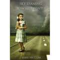 Sky Leaning Toward Winter