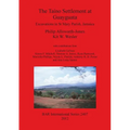 The Taíno Settlement at Guayguata: Excavations in St Mary Parish, Jamaica