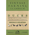 Ducks - Breeding, Rearing and Management