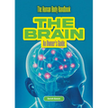 The Brain: An Owner's Guide