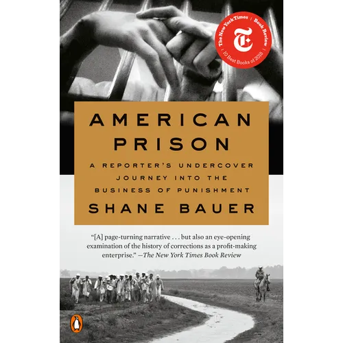 American Prison: A Reporter's Undercover Journey Into the Business of Punishment