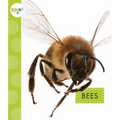 Bees