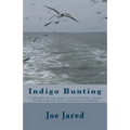 Indigo Bunting: A collection of sixty poems, each describing a species of birds and each rich in metaphorical meanings