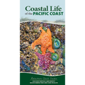 Coastal Life of the Pacific Coast: Discover Tidepools and Identify Beachcombing Finds and Iconic Wildlife
