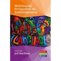 Multilingual Perspectives on Translanguaging