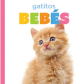 Gatitos Bebés