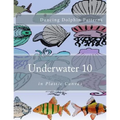 Underwater 10: in Plastic Canvas