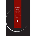 Between Islam and the State: The Politics of Engagement