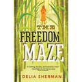 The Freedom Maze