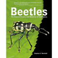 Beetles: The Natural History and Diversity of Coleoptera