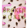 Broken Boxes: A Decade of Art, Action, and Dialogue