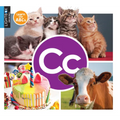 CC
