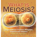 What is Meiosis? Stages of Meiosis, Prophase, Metaphase, Anaphase and Telophase Grade 6-8 Life Science