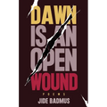 Dawn is An Open Wound