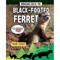 Bringing Back the Black-Footed Ferret