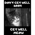 Don't Get Well Soon Get Well Meow: 100 Easy Sudoku Puzzle Large Print Book - Cute Kitten Funny Get Well Gift For Women After Surgery