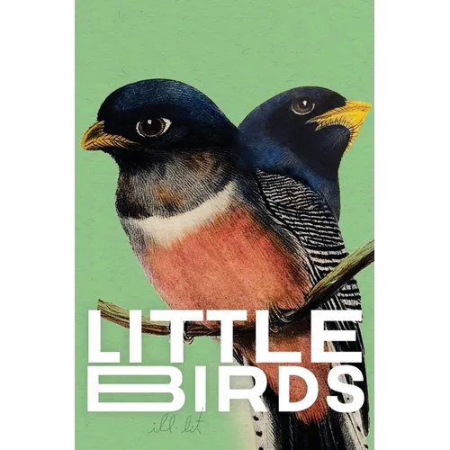 Little Birds 2 (green): 2 (green)