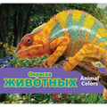 Окраска животных/Animal Colors (Russian)