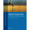 Beyond Crop per Drop: Assessing Agricultural Water Productivity and Efficiency in a Maturing Water Economy