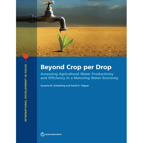 Beyond Crop per Drop: Assessing Agricultural Water Productivity and Efficiency in a Maturing Water Economy