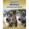 A Pack of Wolves: And Other Canine Groups