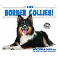 I Like Border Collies!