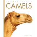 Camels