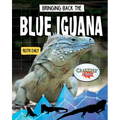 Bringing Back the Blue Iguana