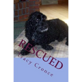 Rescued: The Story of a Cocker Spaniel's Second Chance at Life