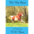 The Big Open