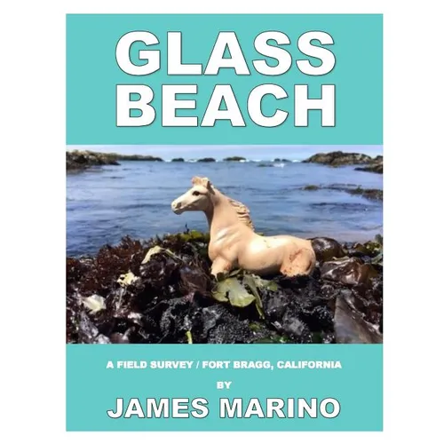 Glass Beach: A Field Survey / Fort Bragg, California