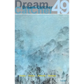 Dream Catcher 49
