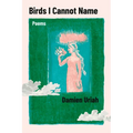 Birds I Cannot Name