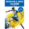 Brighton & Hove Albion Fun Facts
