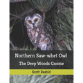 Northern Saw-whet Owl: The Deep Woods Gnome
