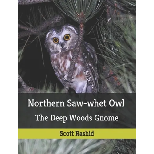 Northern Saw-whet Owl: The Deep Woods Gnome