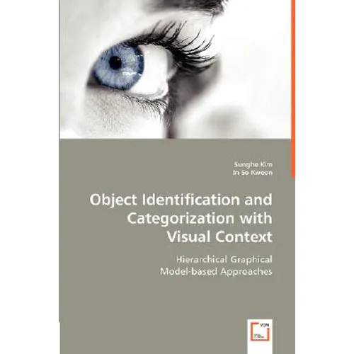 Object Identification and Categorization with Visual Context